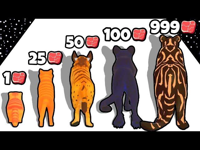 ЭВОЛЮЦИЯ КОТА, МАКСИМАЛЬНЫЙ УРОВЕНЬ! | Cat Evolution
