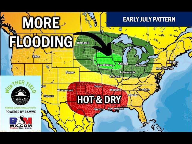 June 26, 2024 Weather Yield | Excessive Rain & Heat!