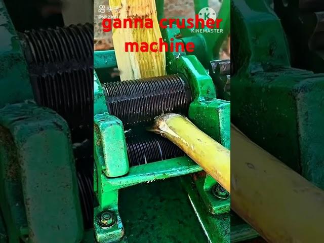 ganna crusher machine #ganna #crusher #machine #video