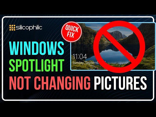 How to Fix Windows Spotlight Not Changing Pictures [Windows 10/11]