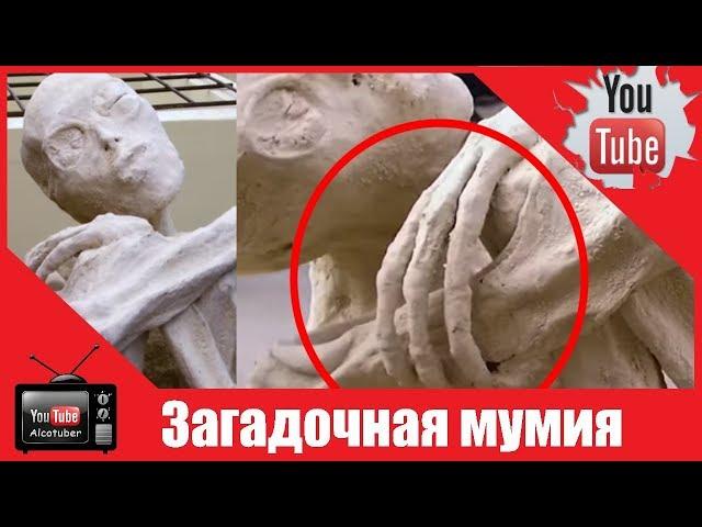 Трехпалая перуанская мумия заставила ученых поломать голову