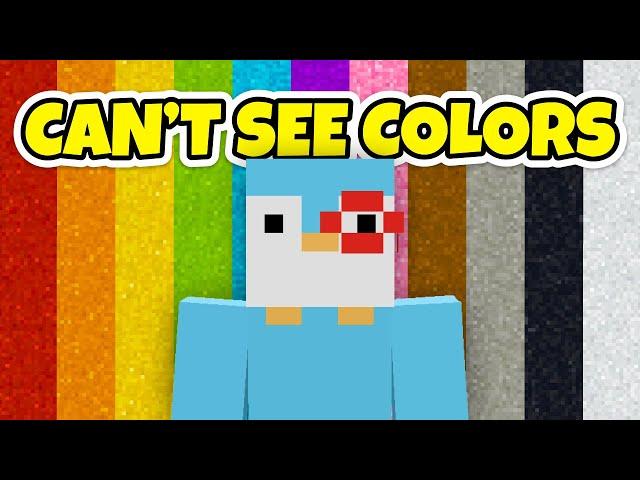 Minecraft, But If I See Colors The Video Ends Compilation