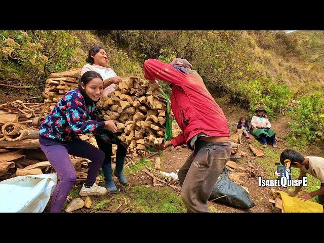 Cargando Leña con Amor para mi Mamá Con mis Hermanos | Isabel Quispe