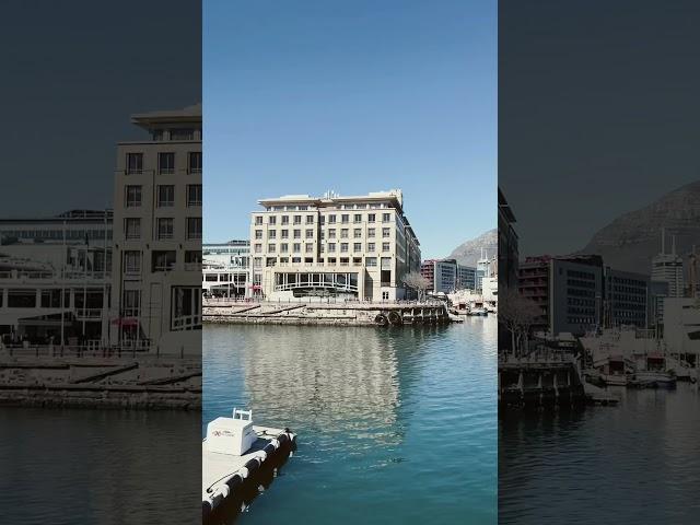 V&A Waterfront #capetown  #southafrica #shortvideo #capetownattractions #tablemountain