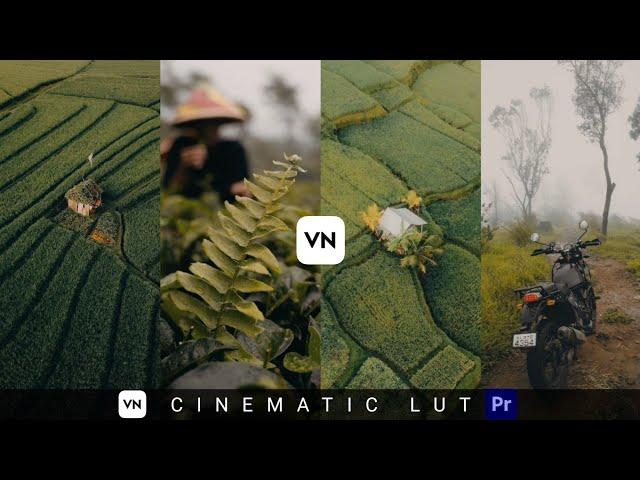 Free Cinematic Free Luts | VN Luts  | Premiere Pro | Cinema |Colour Grading In Mobile (VN Editor)