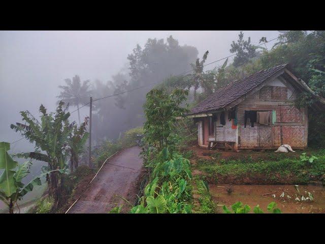 Cold ‼️ Foggy morning in the highest village in Ciamis, a rural atmosphere with natural mountain