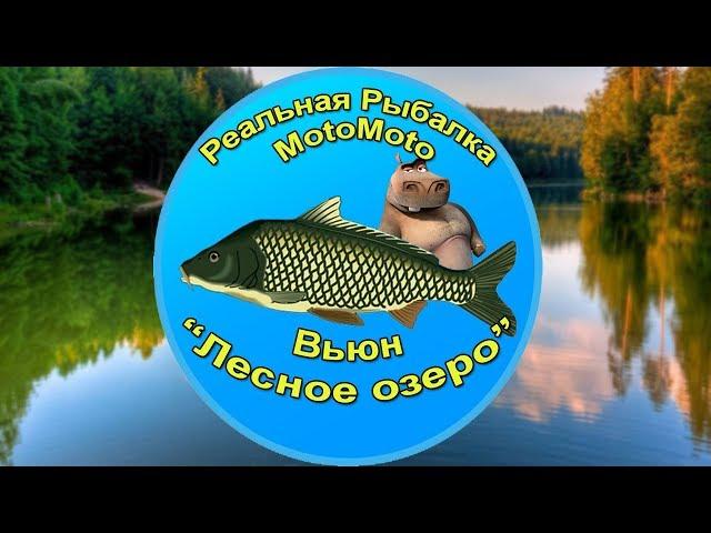 Как поймать Вьюна на Лесном озере [АРХИВ] | Реальная Рыбалка