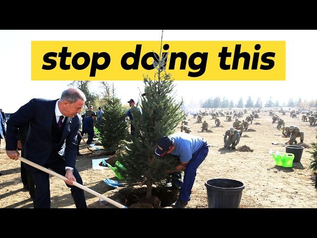 When tree planting hurts the climate