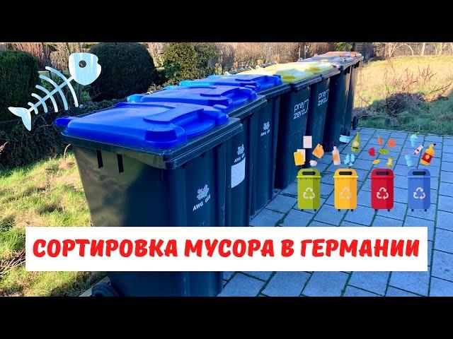 ВЛОГ Сортировка мусора в Германии! - что и куда выбрасывать? - Жизнь в Германии