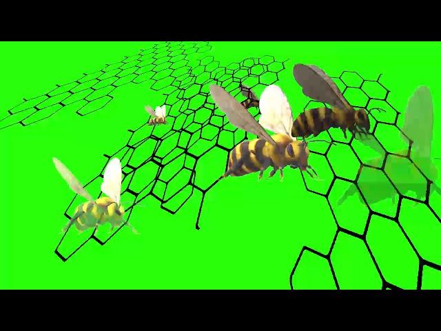 Green Screen Clips - Animated Bees 1