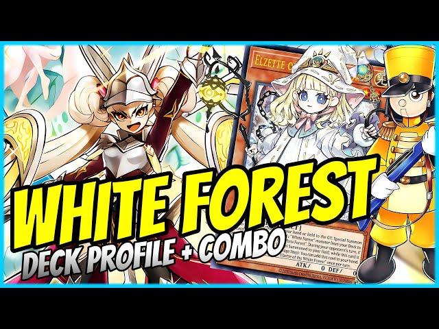 DAS SCHÖNSTE DECK IN YU-GI-OH! | WHITE FOREST TOY CENTURION | DECK PROFILE + COMBO