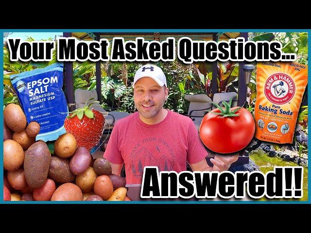 Epsom Salt for Plants and Other Gardening Questions Answered!  Garden Tips and Myths.