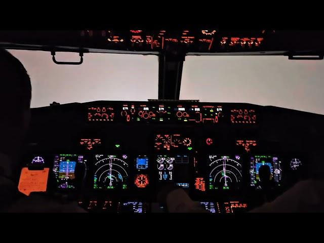 3 Minute Of Aviation |Go Around Heavy Turbulence Landing Snow Crosswind | Cockpit View