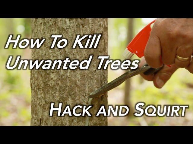 How To Kill a Tree | Hack and Squirt
