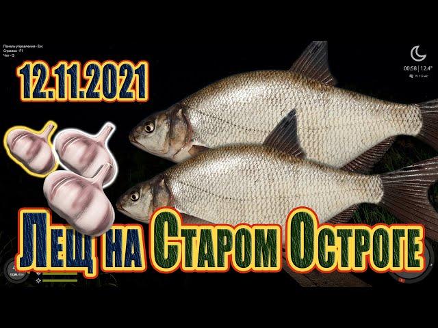 Лещ на Остроге 12.11.2021! Русская рыбалка 4! Лещ! Фарм! Старый Острог! РР4! РЫБОКИТ! 俄羅斯漁夫4