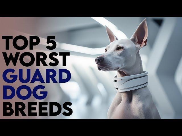 Top 5 Worst Guard Dog Breeds