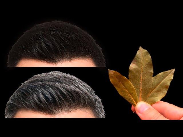 Gray hair will disappear forever in just 4 minutes, 100% effective