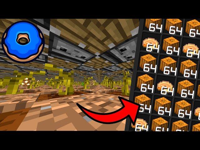 Building a HUGE PUMPKIN FARM on Donut SMP (Minecraft)