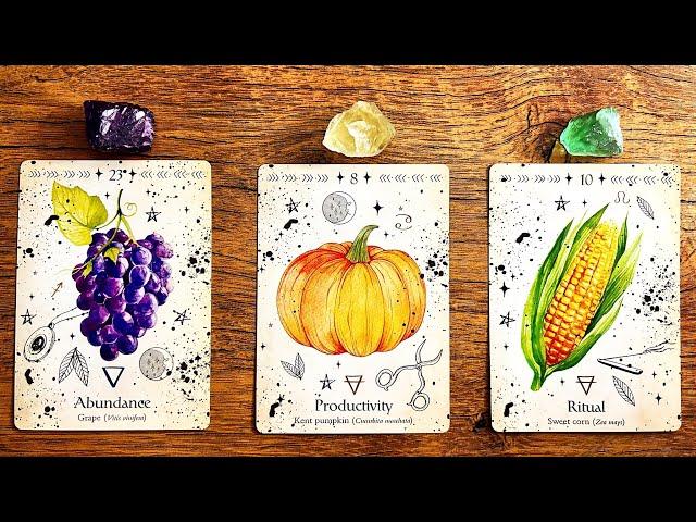 THIS WILL HAPPEN IN THE NEXT 24H!  | Pick a Card Tarot Reading