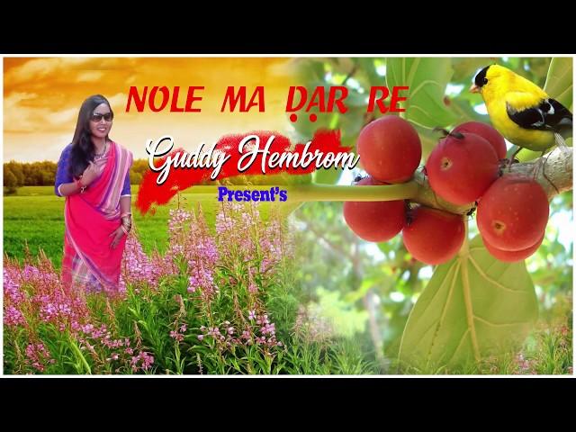 NOLE MA DAR RE//GUDDY HEMBROM