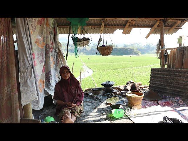 Gubuk Sederhana di Pinggir Danau yang Mengering dengan Pemandangan Sawah yang Indah| Suasana Desa