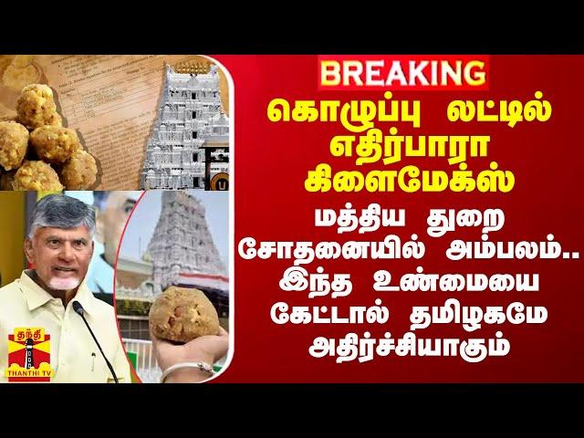 கொழுப்பு லட்டில் எதிர்பாரா கிளைமேக்ஸ்.. மத்திய துறை சோதனையில் அம்பலம்..