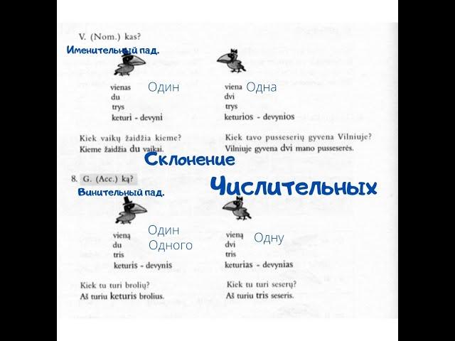 Курс литовского для начинающих (33ур). "Склонение числительных".