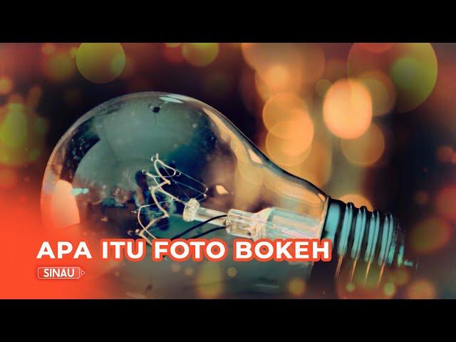 Apa itu Foto Bokeh dan Seklumit Teknik Memotretnya