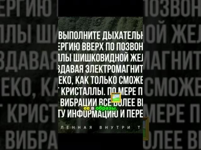 Полетите в мир высоких вибраций и откройте двери к новым восприятиям! 