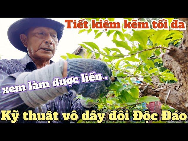 Kỹ thuật vô dây ĐỘC ĐÁO chú Sáu Bình Dương tỉa uốn tạo dáng sửa cây mai non đẹp tiết kiệm kẽm tối đa