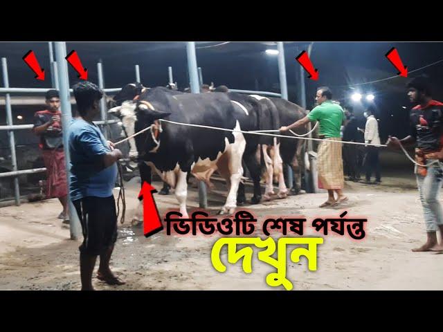 Biggest Cow Farm in Bangladesh | Sadeeq Agro Cattle Farm 2021 | Big big cow 2021 part 2