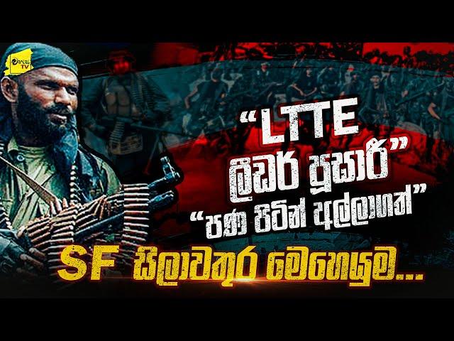 කොටි ලීඩර් පූසාරී පණපිටින් අල්ලාගත් SF සිලාවතුර මෙහෙයුම | WANESA TV