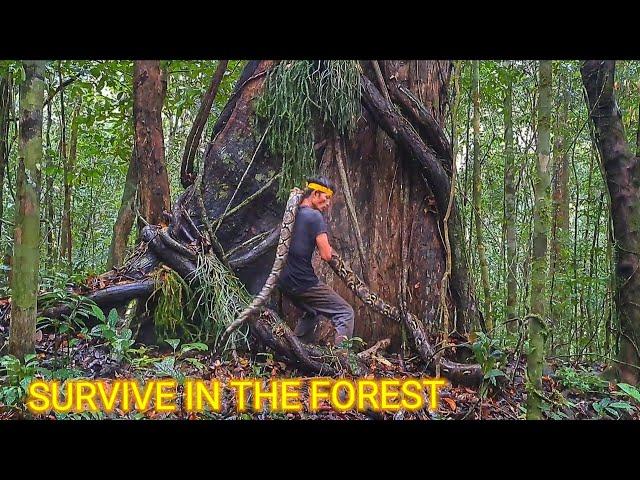 Solo survival ||  survival instinct in jungle alone