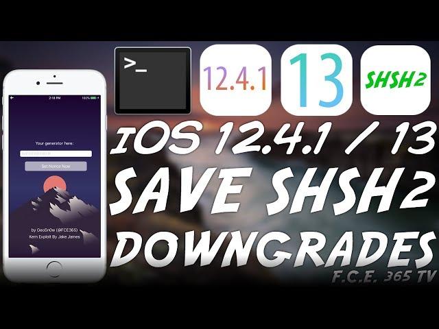 iOS 12.4.1 / iOS 13 - How To Save SHSH2 Blobs For iOS DOWNGRADES & JAILBREAK (2 Methods)