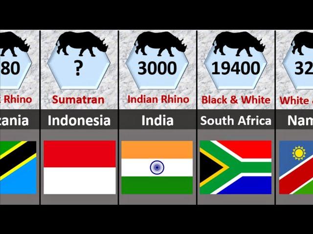 Rhinoceros Population Country Wise