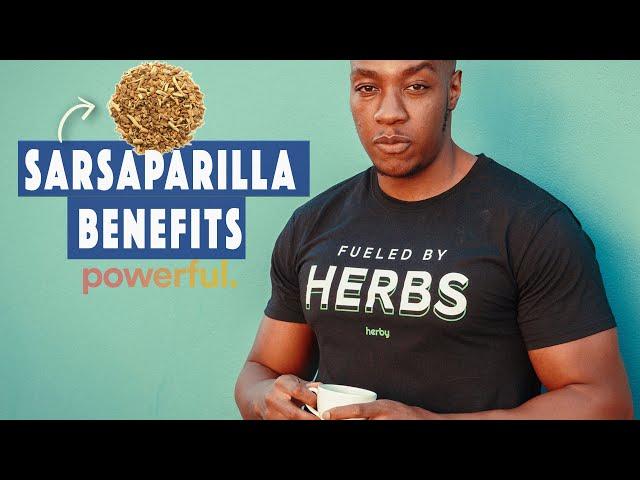 4 BENEFITS OF SARSAPARILLA (& concerns) | Powerful!