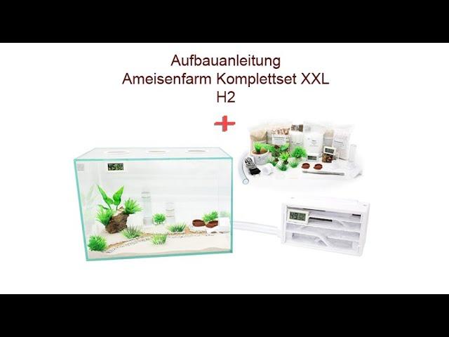 Aufbauanleitung Ameisenkomplettset Ameisenfarm H & XXL & XL