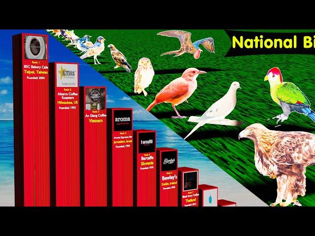 Epic Comparison of National Birds and Popular Coffee Brands of Different Countries