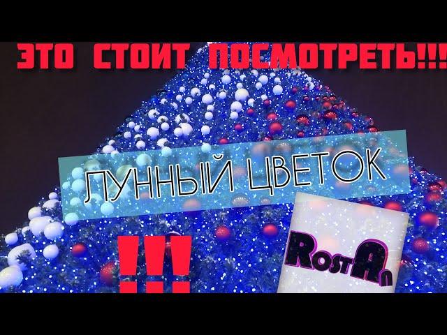 ПАРЕНЬ ДУШУ РВЁТ!!! Rostan. Лунный цветок.