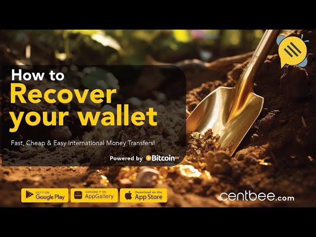 How to Recover your Centbee Wallet