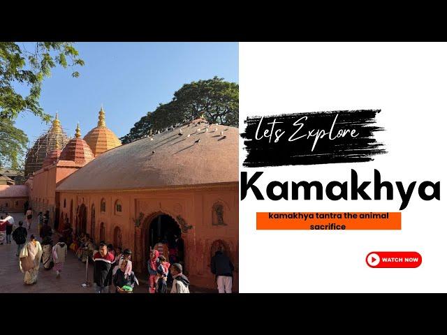 MA KAMAKHYA DEVI / HER WORSHIP /THE RITUALS / IMPORTANCE