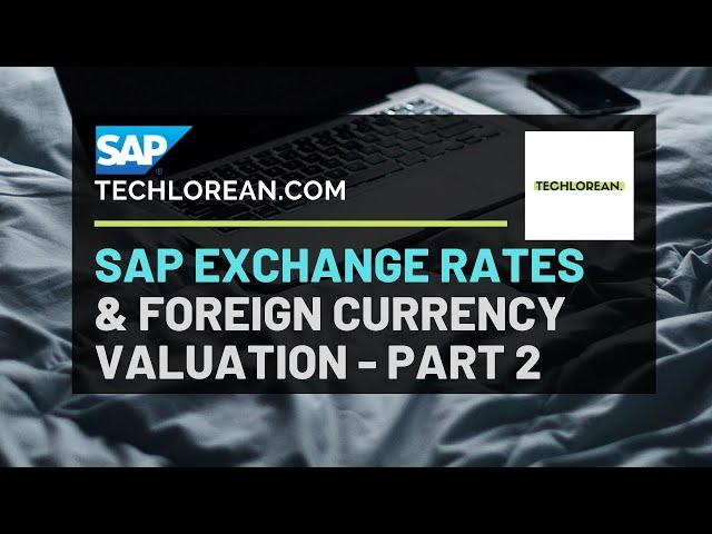 SAP FOREIGN CURRENCY VALUATION | CONFIG, FUNCTIONALITY, SUMMARY | PART 2