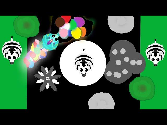 mope.io: Zebra trolling