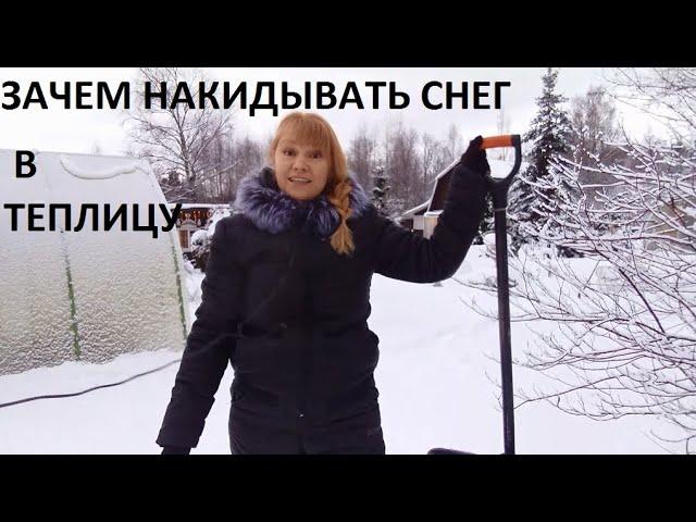 Зачем накладывать снег в теплицу?