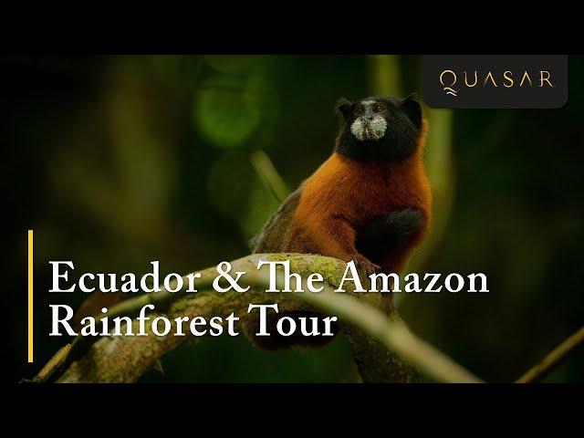 Ecuador & The Amazon Rainforest Tour (Series 4 of 5)