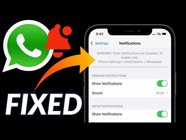 WhatsApp Notifications Are Not Showing on iPhone I WhatsApp Push Notifications are Disabled