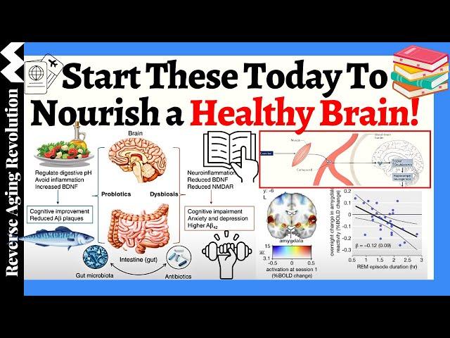 START Doing These TODAY To Nourish a Healthy Brain!  Your Brain Will Thank You!