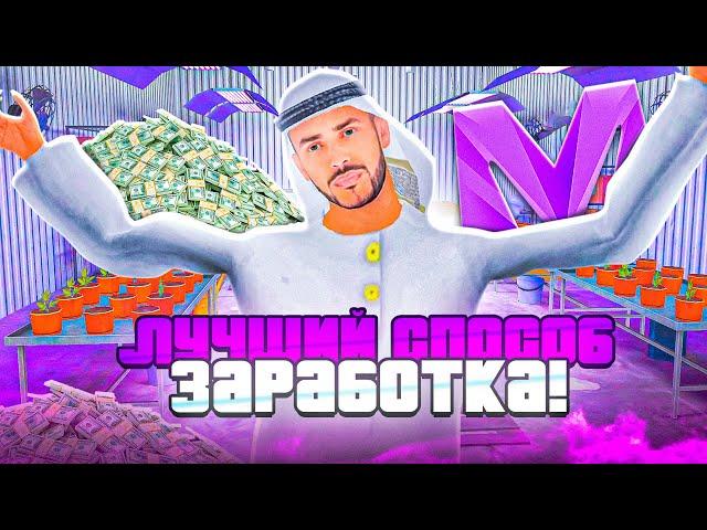 ЛУЧШИЙ СПОСОБ ЗАРАБОТКА на МАТРЕШКА РП! НОВЫЙ СПОСОБ ЗАРАБОТКА на ВЫРАЩИВАНИЕ ТРАВЫ на MATRESHKA RP!