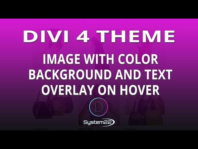 Divi 4 Image With Color Background And Text Overlay With CTA On Hover 