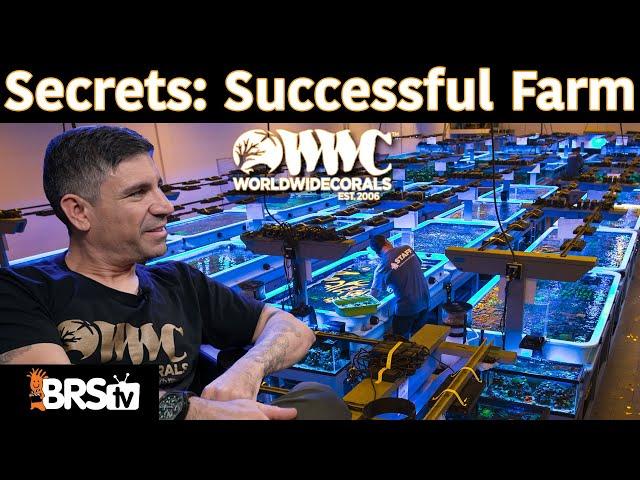 Victor’s 13 Secrets to Running a Successful Coral Farm!